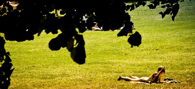 College student laying out in the sun wearing a bikini on a lawn