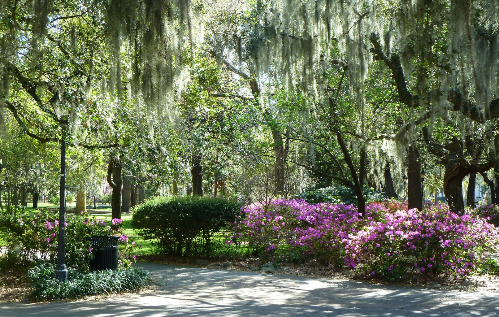 Savannah Georgia park