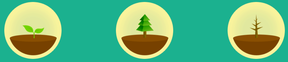 Forest App