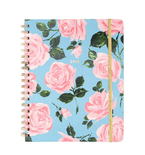 Best 2018 planners and agendas: Ban.do blue and pink rose print daily planner