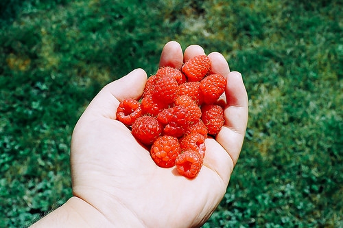 fruits