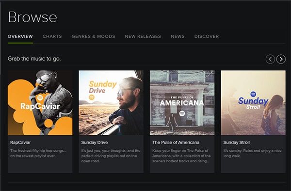 Spotify Screenshot