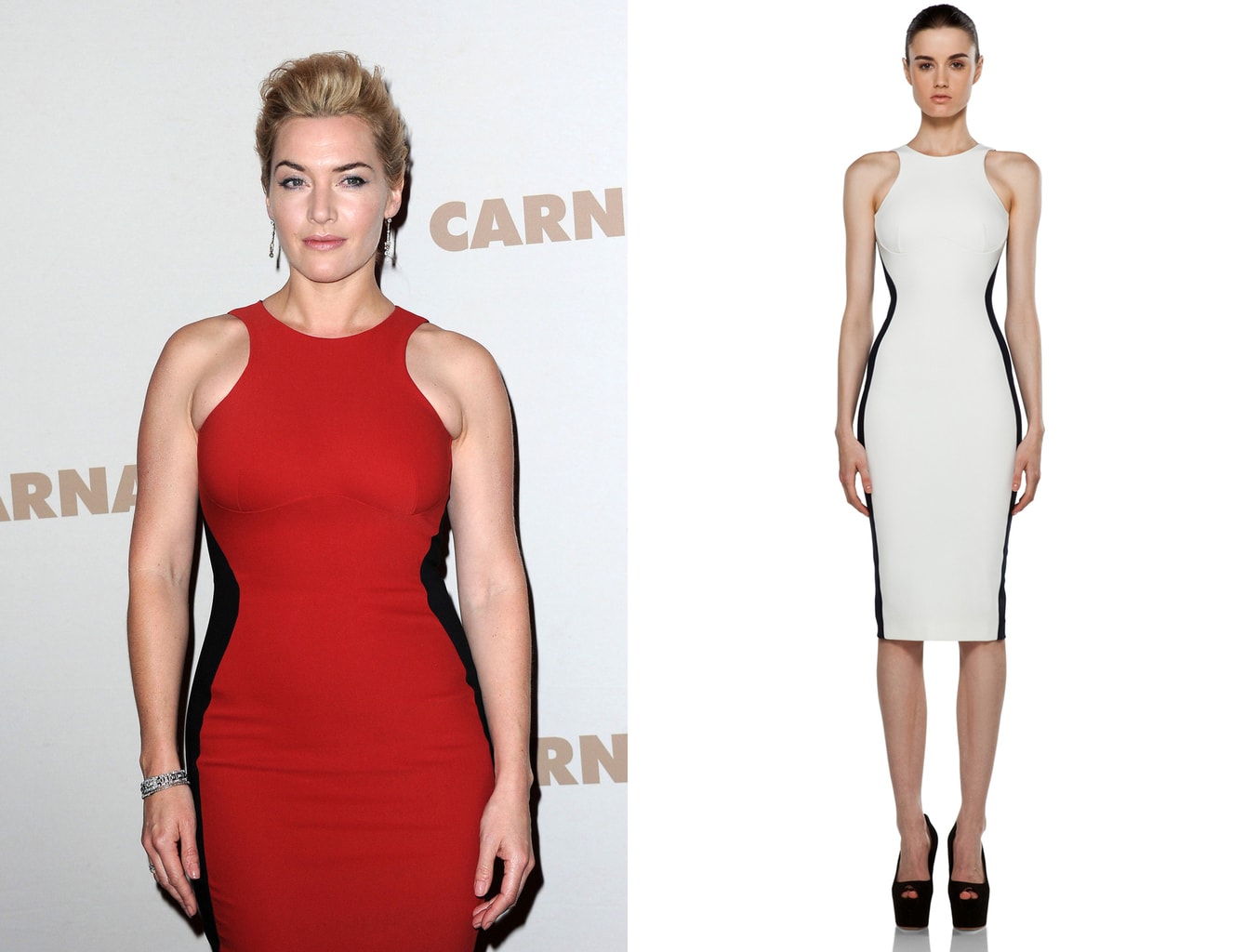 Stella McCartney Miracle Dress -- the Octavia dress seen on Kate Winslet and on a model