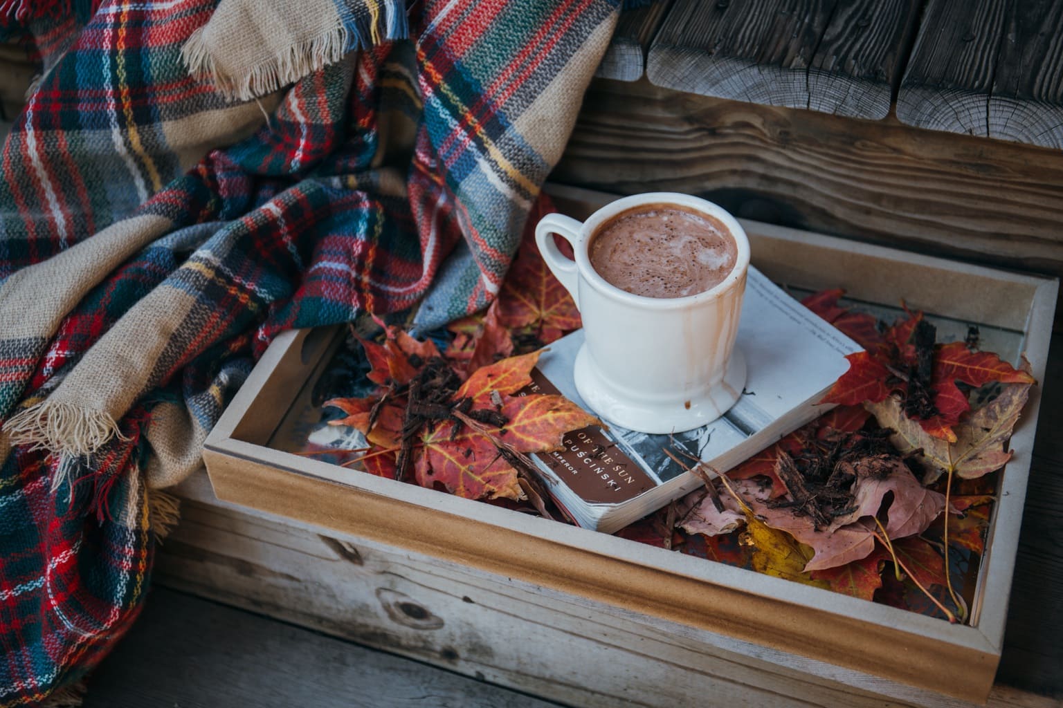 Hot chocolate on book with leaves and plaid blanket