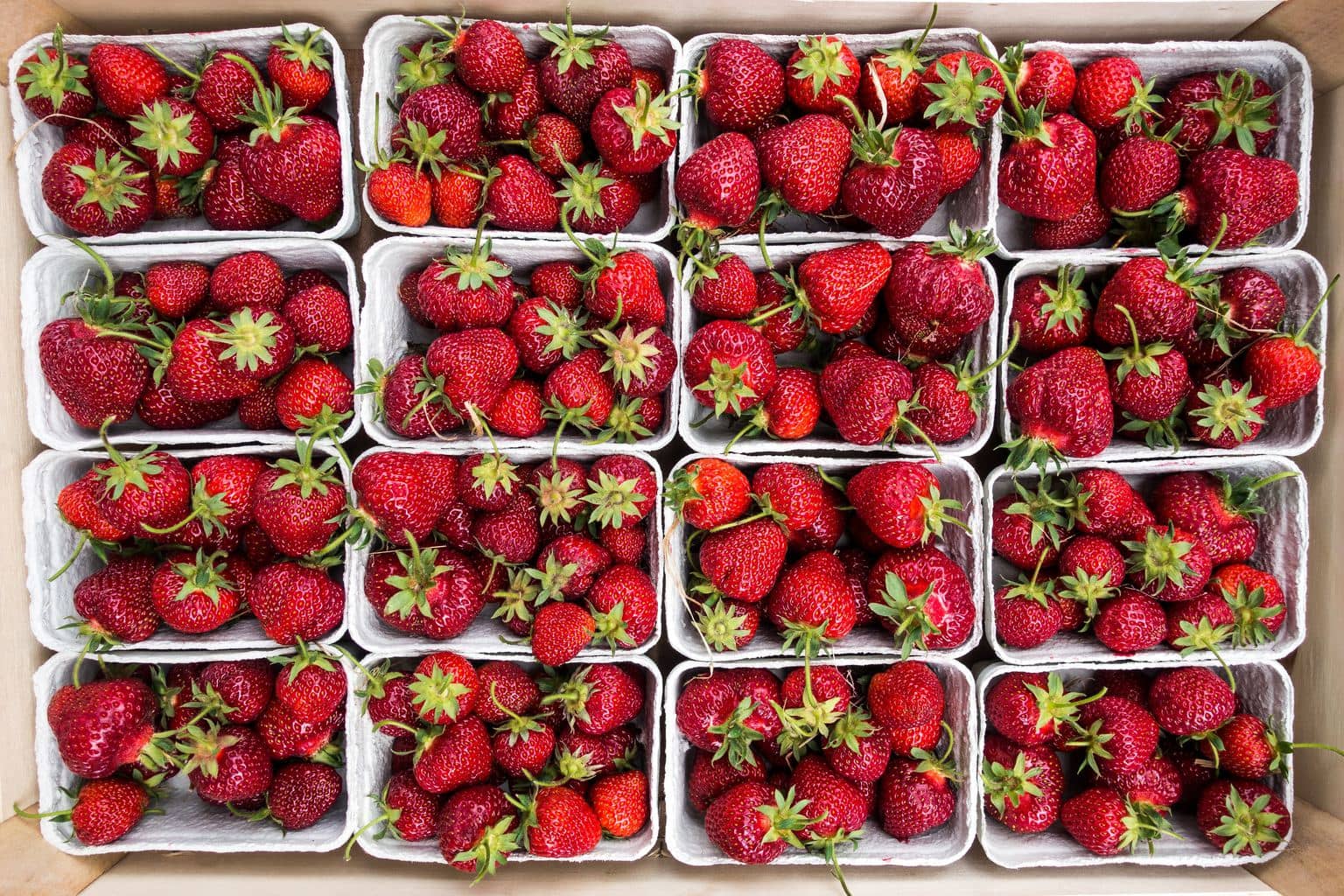 strawberry in basket