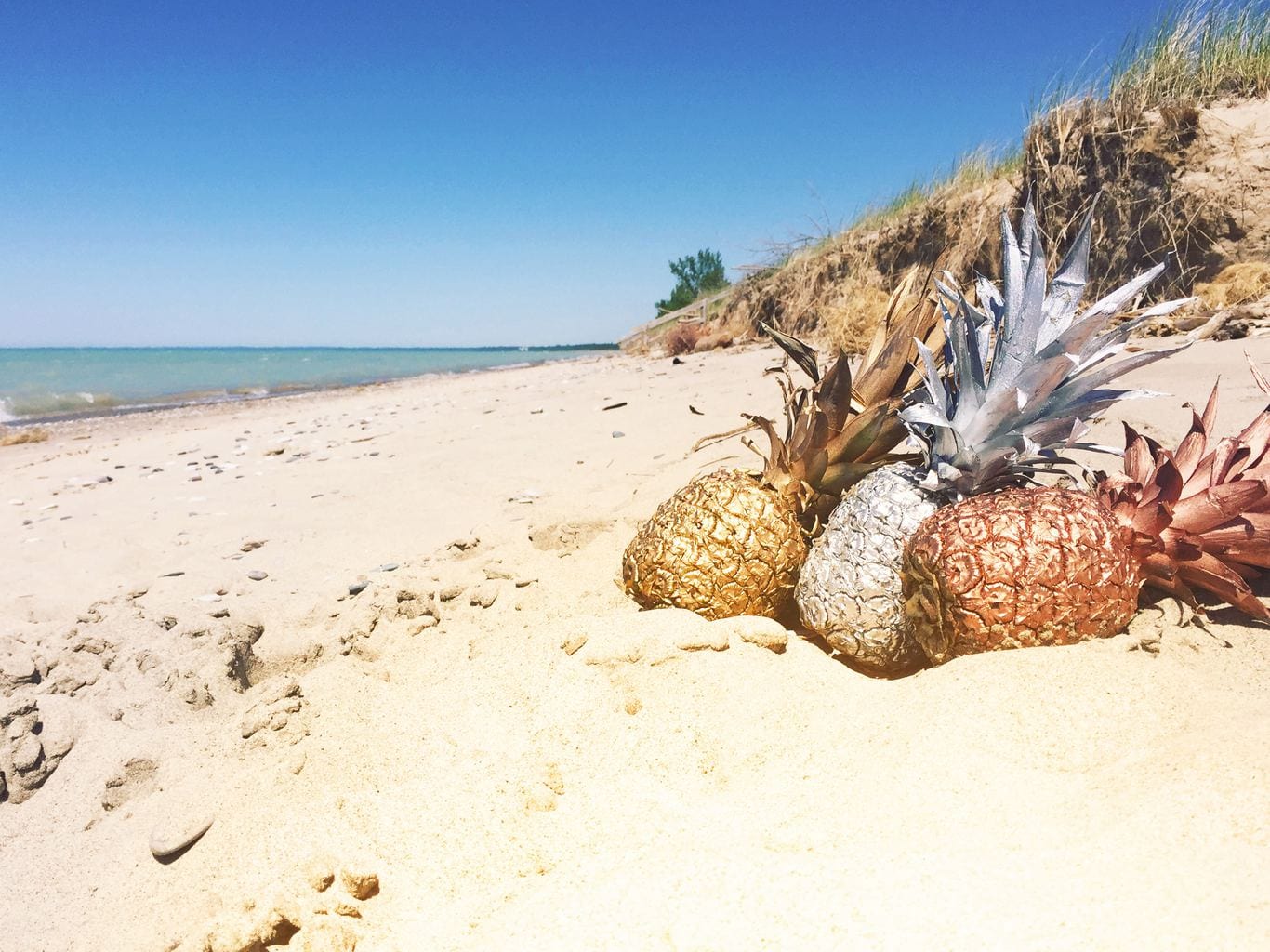 What to wear in the sweltering summer heat – pineapples on the beach in metallic colors