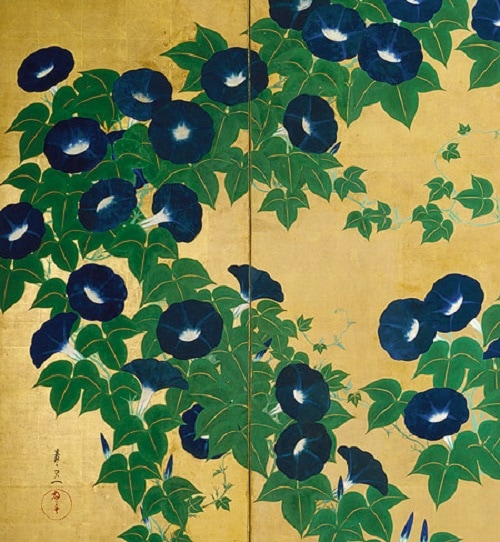 Suzuki Kiitsu's "Asagao-zu Byoubu"