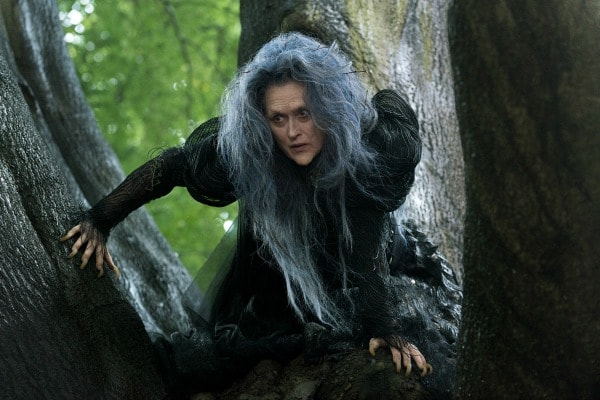 The Witch Into the Woods