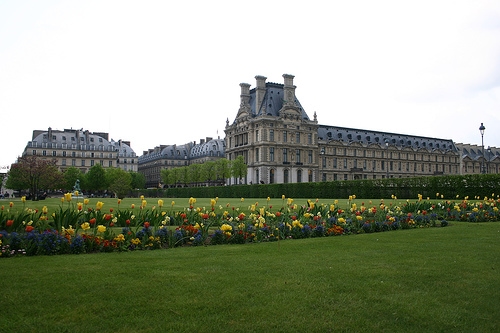 Flowers at the Jardin de Tuileries in Paris
