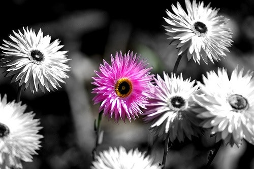 Stand out from the crowd