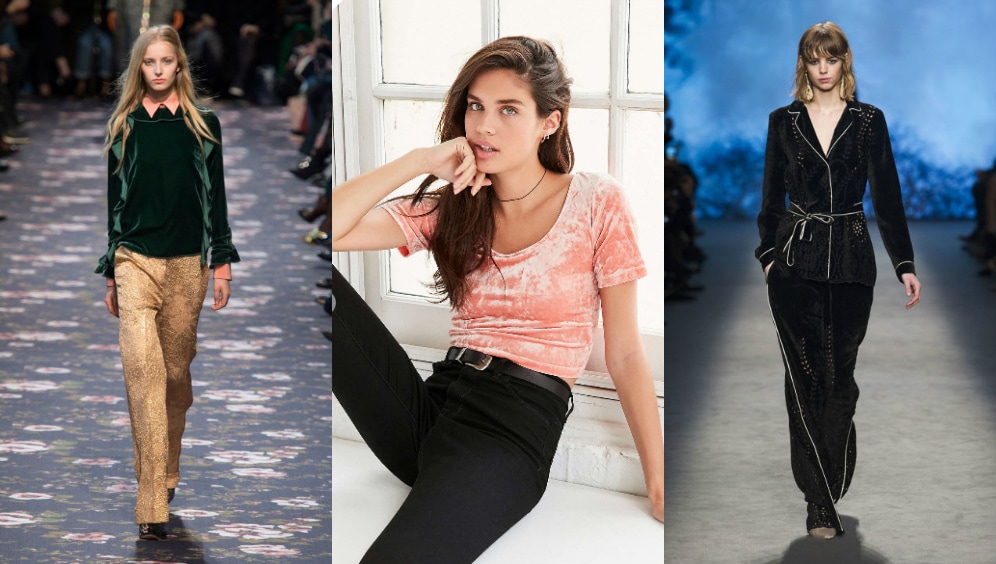 Velvet-Top-Trend