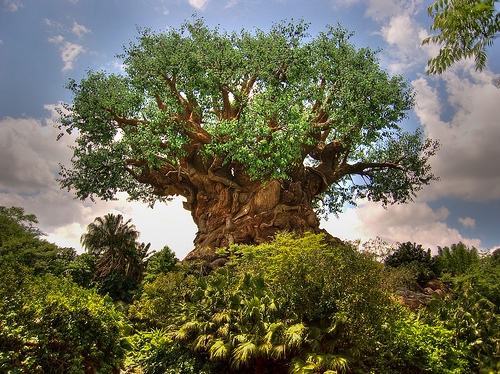 Walt Disney World's Animal Kingdom - Tree of Life