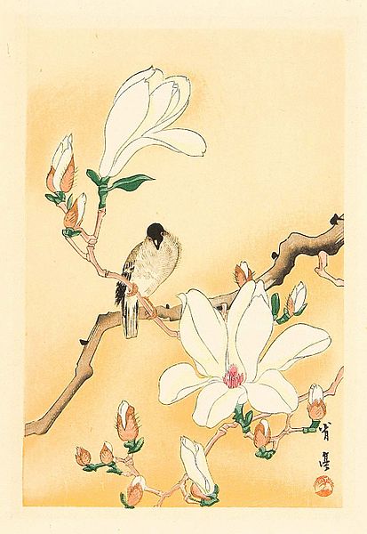 Watanabe Shōtei Bird and Magnolia