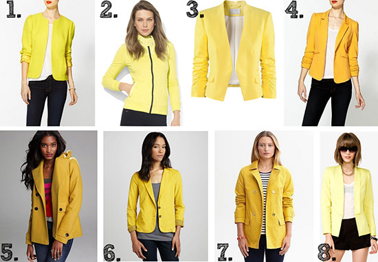 women's trevail north face jacket