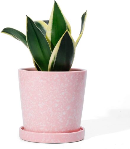 Cutest dorm room decorations - pink planter