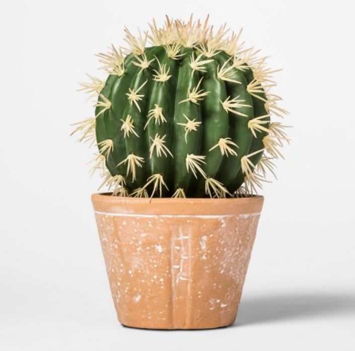 Faux cactus decoration.