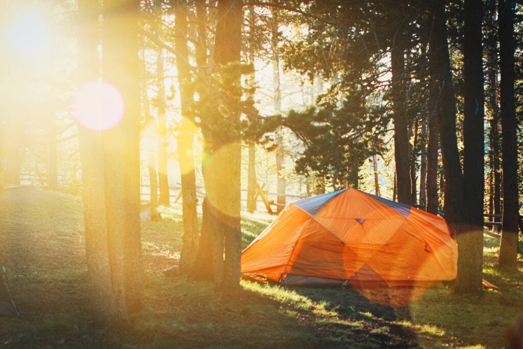 How to travel in college - go on a trip with a club. Photo of a Campsite with sun shining through trees.