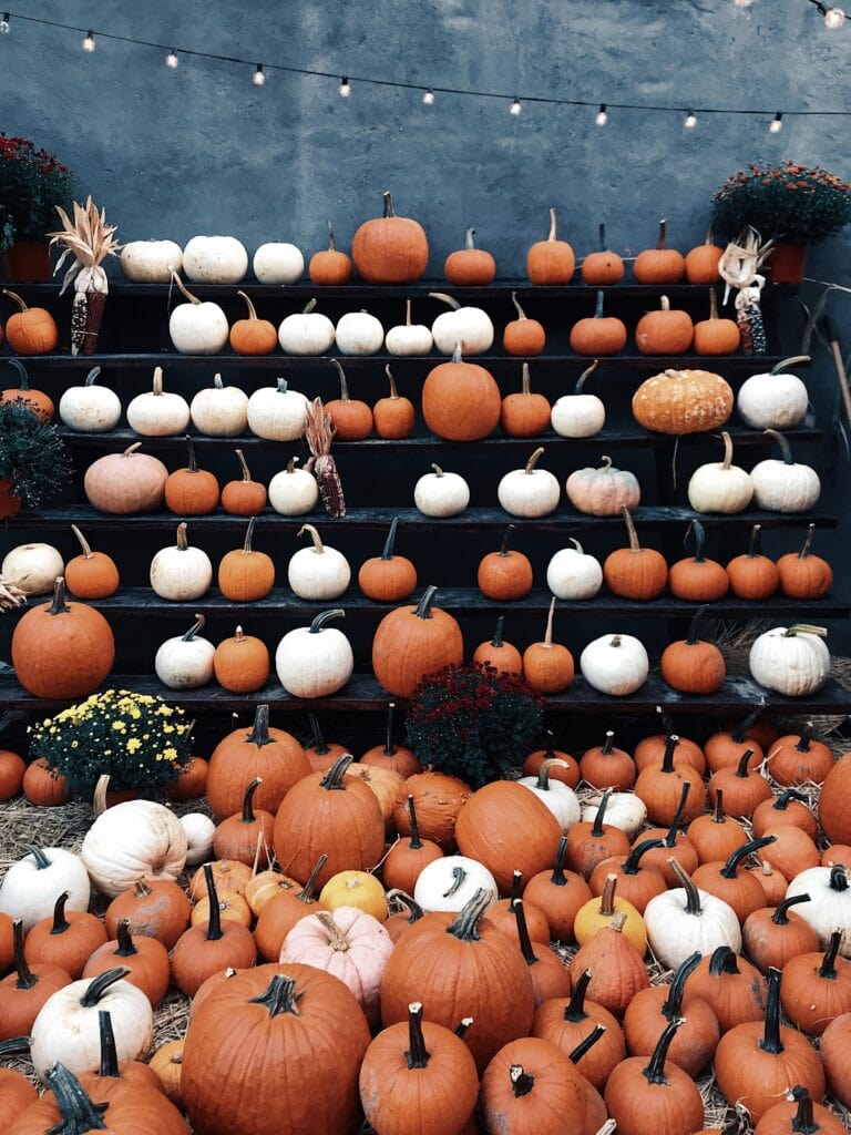 Fall bucket list - visit a pumpkin patch. Picture of a pumpkin stand with orange and white pumpkins