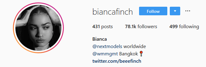 How to grow your Instagram account - Screenshot of model Bianca Finch's Instagram profile