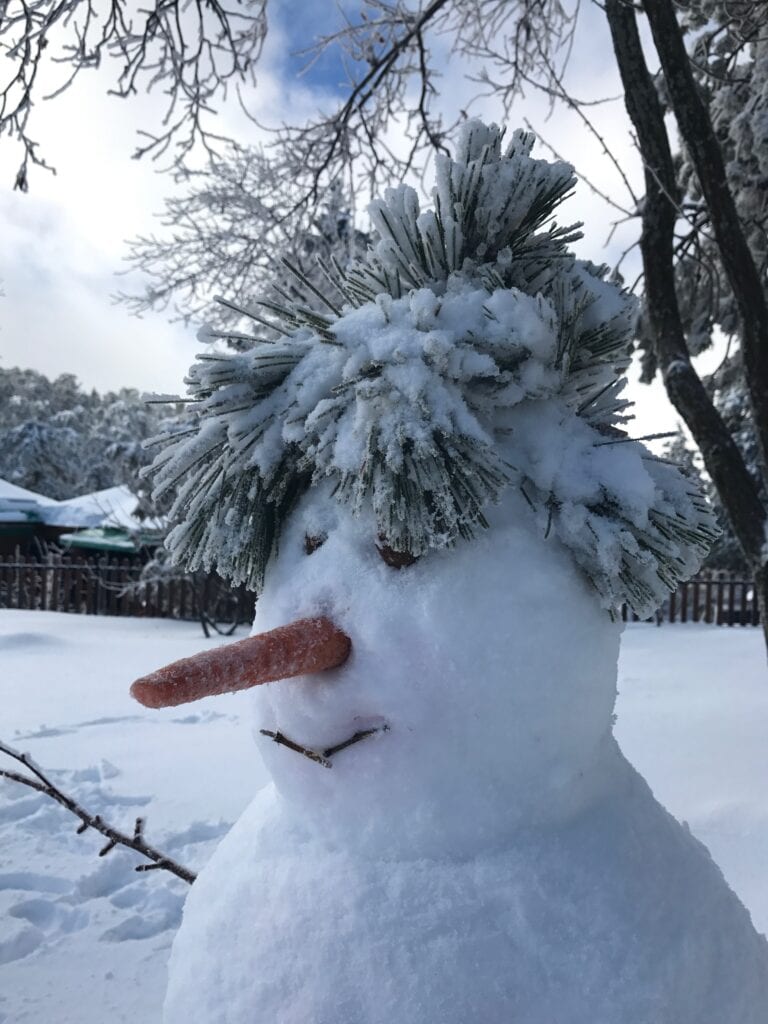 snowman outside