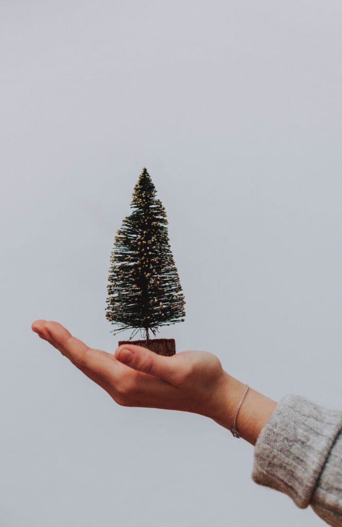Dorm christmas decorations - Hand holding a mini Christmas tree.