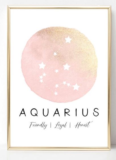 Pink glitter zodiac print.