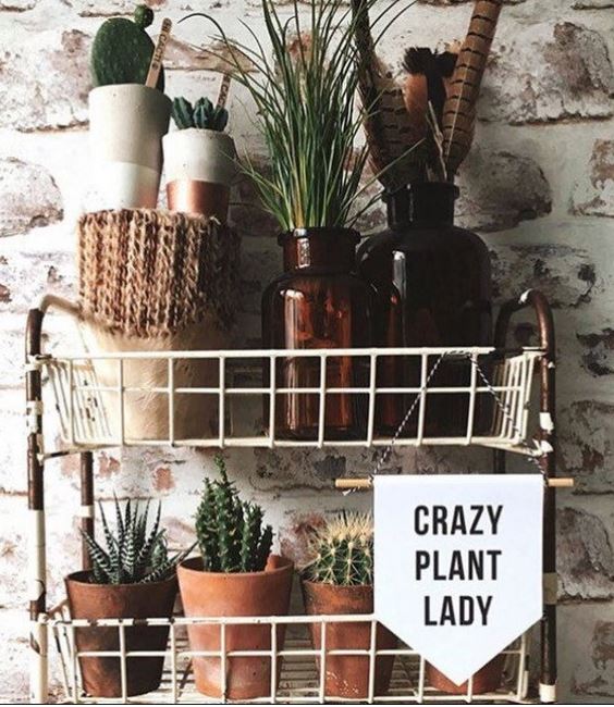 "Crazy plant lady" cloth pennant.