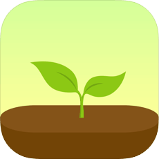 Photo of the app "Forest"