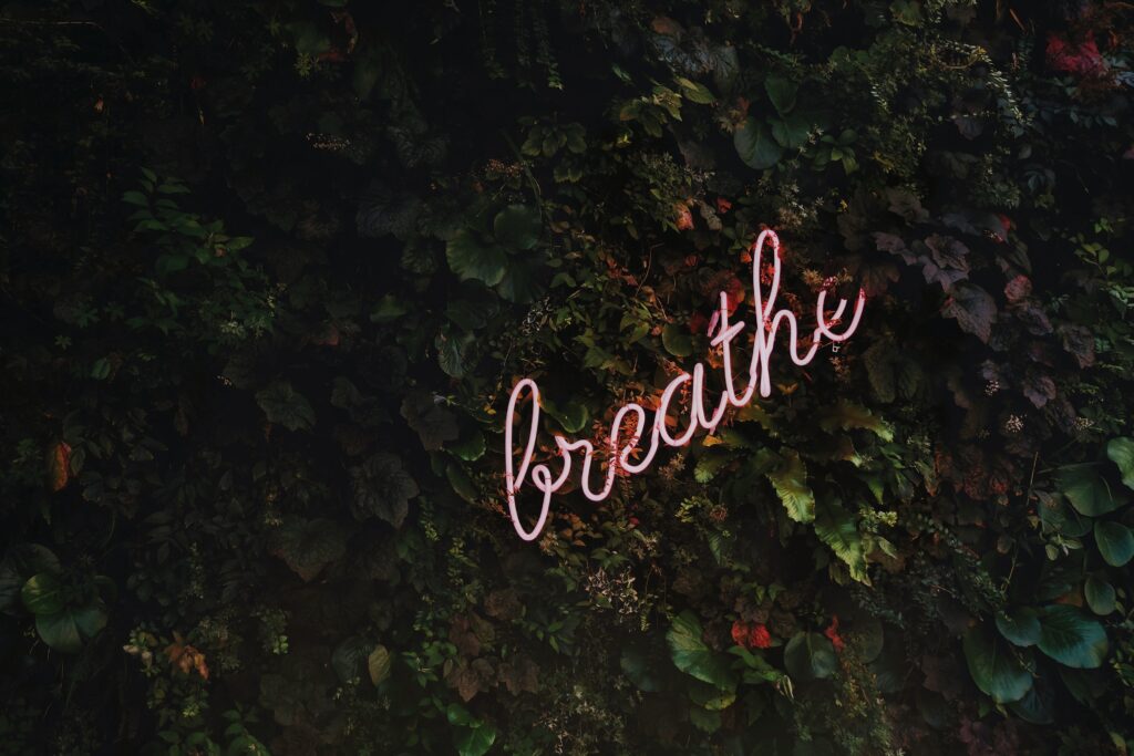 Things I've learned in college - breathing and taking care of myself. pink breathe neon sign in leaves