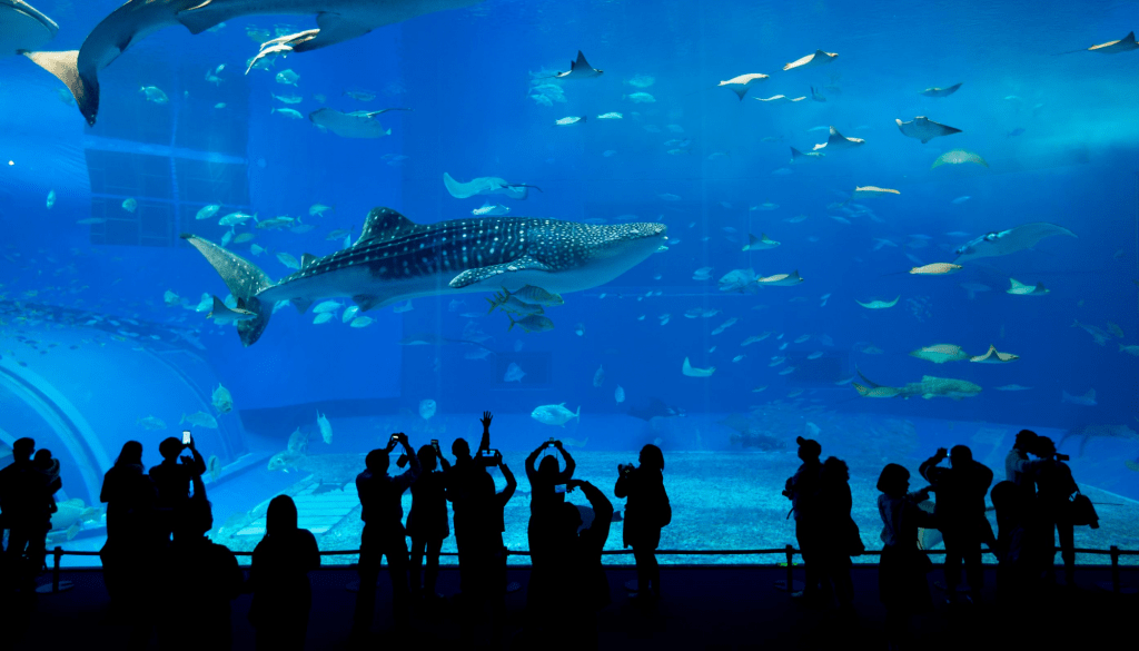 Aquarium