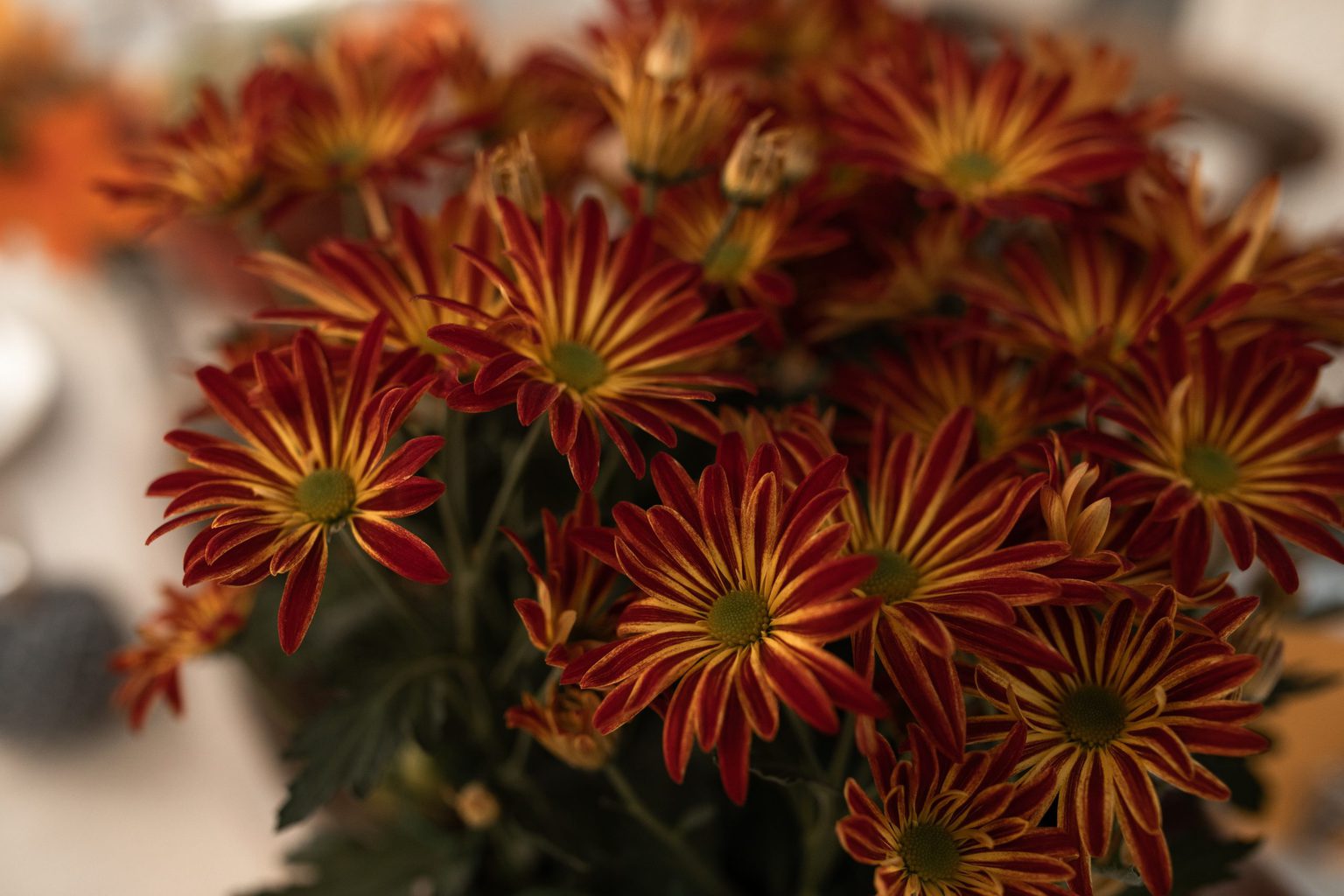 Cozy decor item: orange and red little flowers