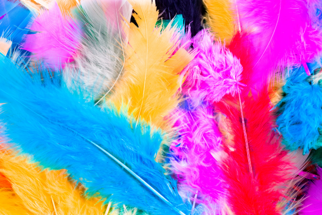 Feathers