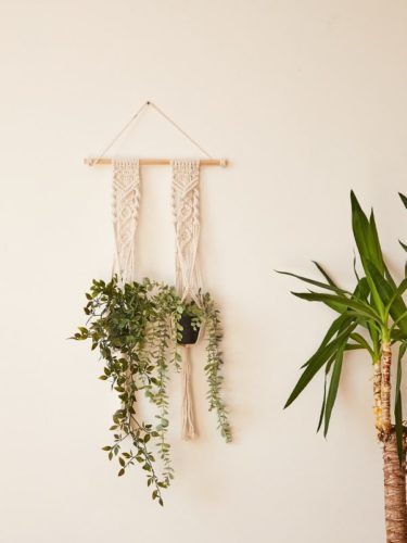 Macrame Hanging Planter