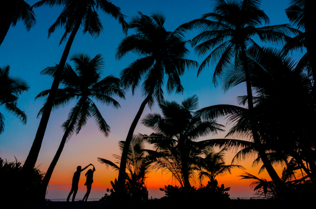 Summertime beach scene at night