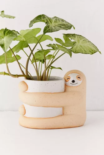 Sloth planter from urban outfitters