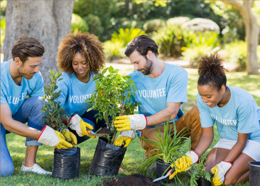 People planting trees while wearing volunteer shirts - things to do over winter break