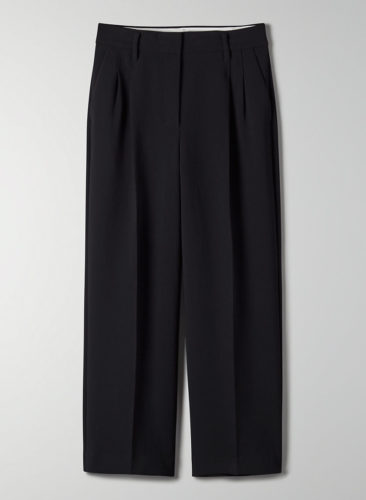 Aritzia Trousers in black