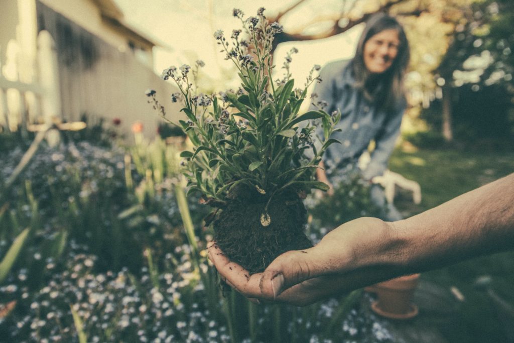 Gardening photo from unsplash - summer bucket list ideas