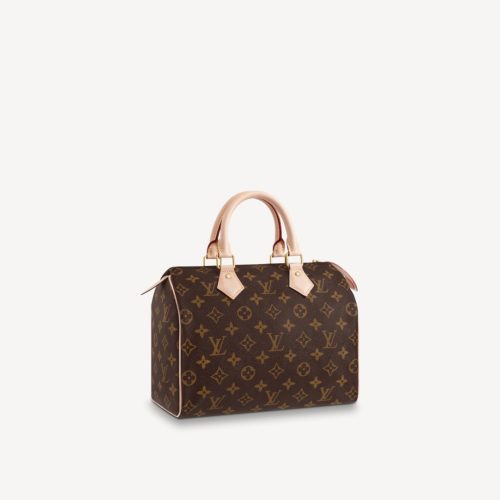 Louis Vuitton Speedy 25 bag