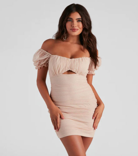 Windsor Pink Mesh Dress