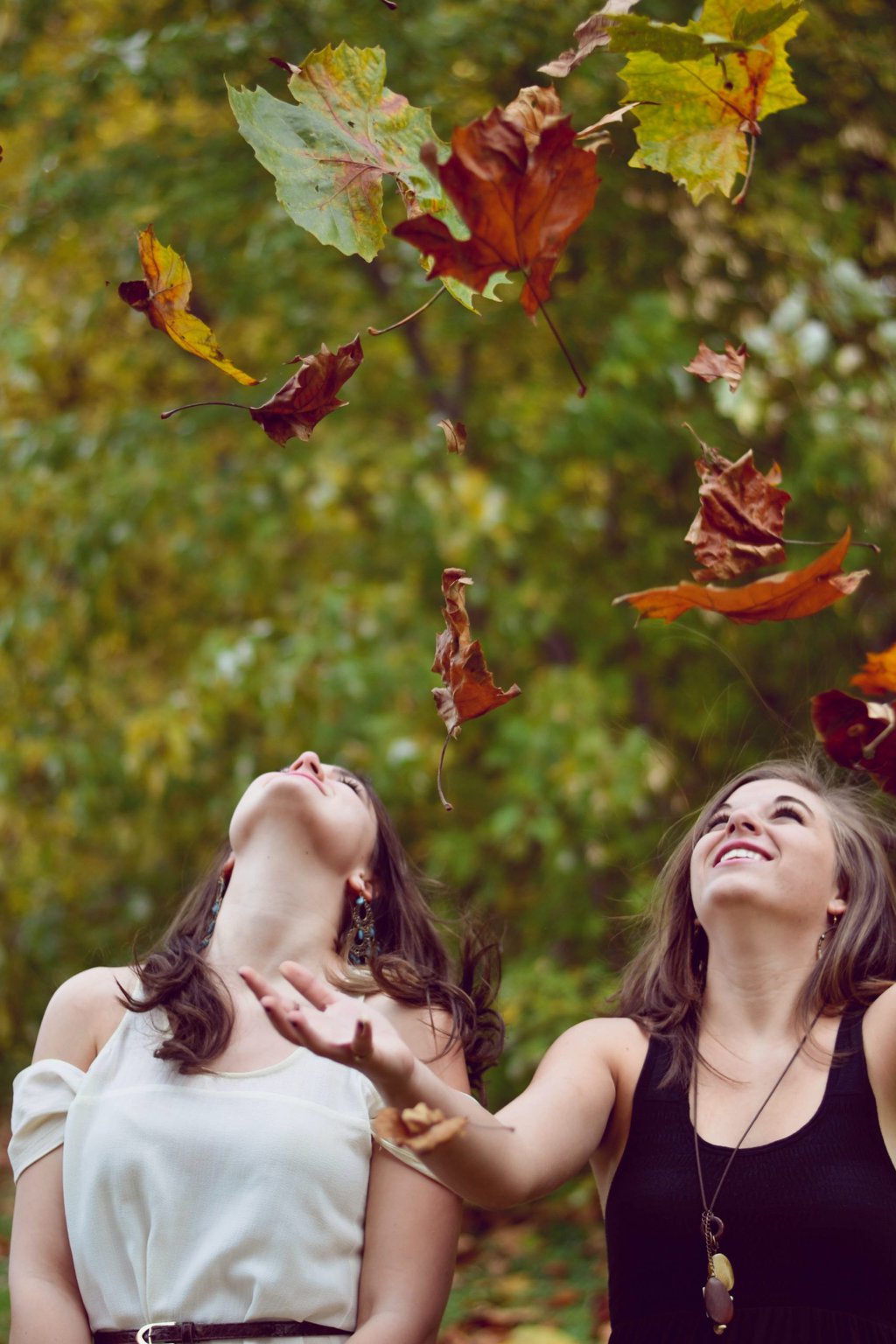 Tossing leaves photo from unsplash