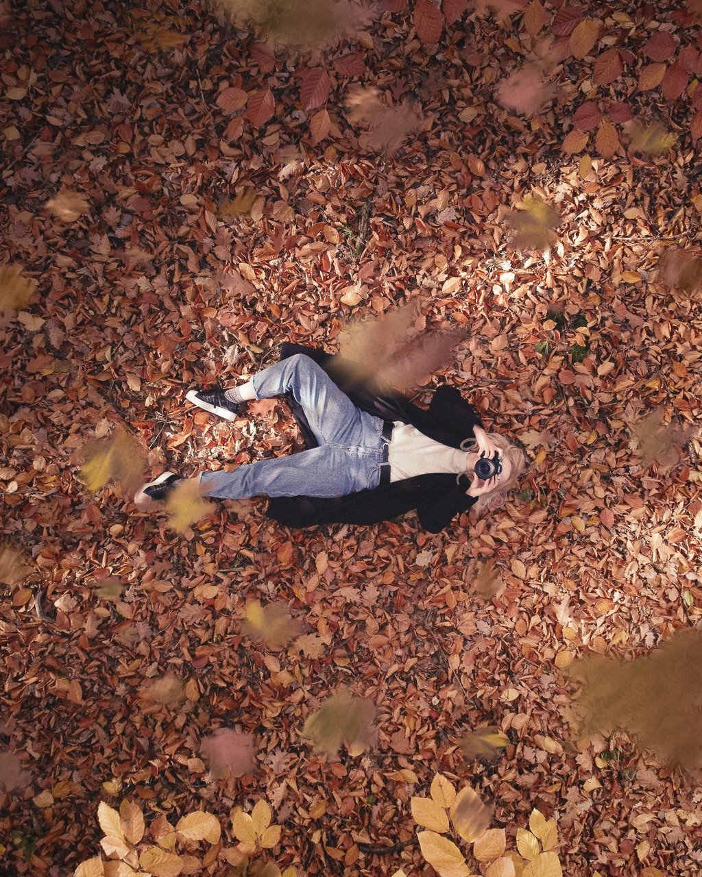 Laying in leaves photo from unsplash