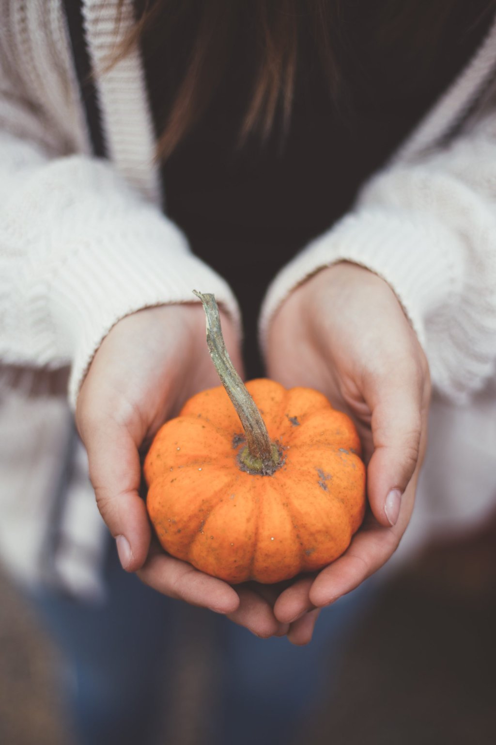 Pumpkin photo from unsplash