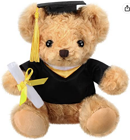 Graduation Teddy Bear