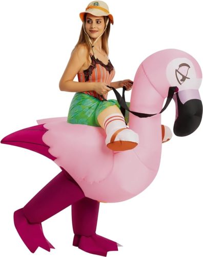 Inflatable costume from Amazon