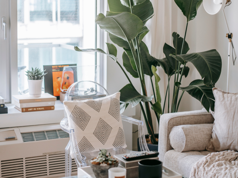 An example of a cute college apartment decorated with plants, pillows, and a beige couch