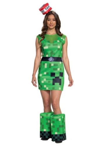 Minecraft costume from HalloweenCostumes