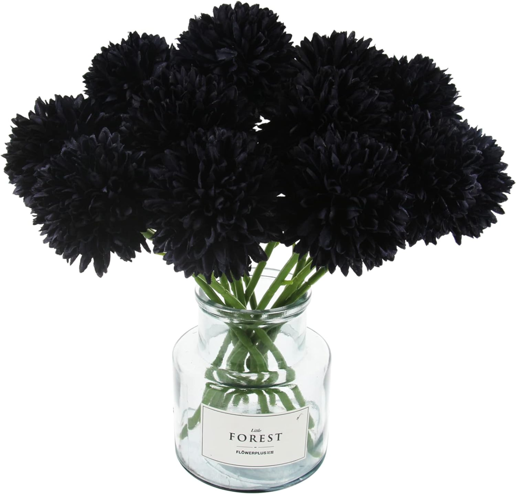 Black mums in a vase from Amazon