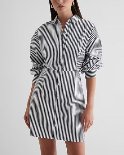 Express Striped Shirt Dress