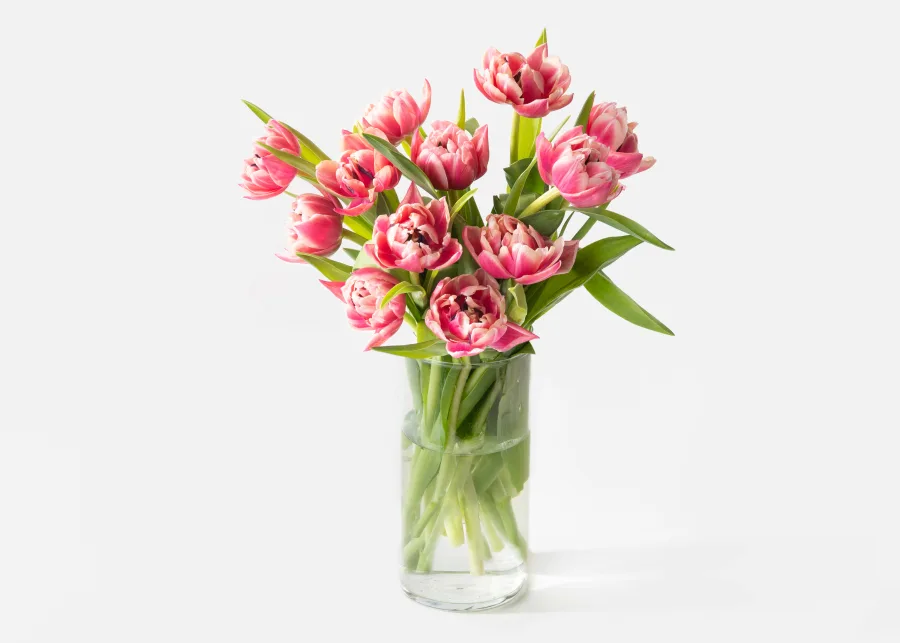 Tulip bouquet from Stems
